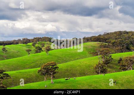 Adelaide Hills vista paesaggio nella stagione invernale, Australia Meridionale Foto Stock