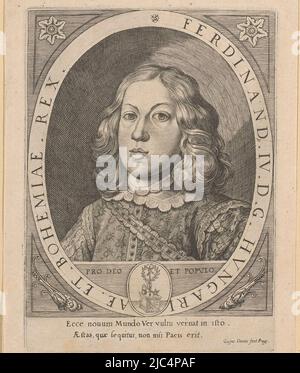 Simboli relativi all'alchimia sotto il ritratto. Con la didascalia in latino., Ritratto di Ferdinando IV Ferdinando I. II. III. IV. (Titolo della serie), tipografia: Johann Caspar Dooms, (menzionato sull'oggetto), Franciscus de Bruyn, Praag, 1650, carta, incisione, h 162 mm - l 118 mm Foto Stock