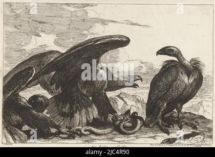 In un paesaggio roccioso un'aquila e un avvoltoio combattono su un serpente, Vulture e un'aquila con serpente 1. Des Aigles 2. Griffon Birds of Versailles' Menagerie (titolo della serie), tipografo: Peeter Boel, (attribuito a), disegnatore intermediario: Peeter Boel, (menzionato sull'oggetto), editore: Gérard Scotin (i), (menzionato sull'oggetto), Parigi, 1670-1674, carta, incisione, h 252 mm x l 355 mm Foto Stock