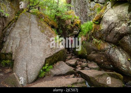 L’ingresso al Burn o’ VAT, che è un esempio di pothole, situato vicino a Loch Kinord, vicino al villaggio di Dinnett, in Aberdeenshire, Scozia Foto Stock