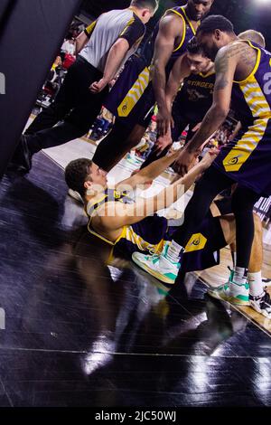 Edmonton, Canada. 08th giugno 2022. 21 Freddie McSwain Jr (Forward), 13 Brodie Clarke (Forward), 4 David Pekarek (Forward), 6 Peter Adika McNeilly (Guard) giocano contro Montreal Alliance durante la Canadian Elite Basketball League presso l'Edmonton Expo Center. (Punteggio finale; Edmonton Stingers 85-72 Montreal Alliance) Credit: SOPA Images Limited/Alamy Live News Foto Stock