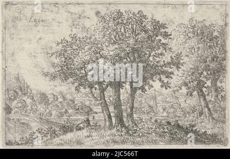 Paesaggio con gruppo di tre alberi in primo piano, Paesaggio con tre alberi, tipografia: Johan de Lagoor, (menzionato sull'oggetto), 1635 - 1660, carta, incisione, a 104 mm x l 161 mm Foto Stock