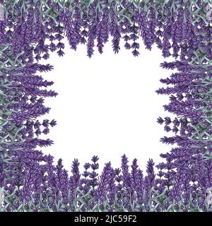Cornice di fiori di lavanda. Acquerello sfondo disegnato a mano. Illustrazione della lavanda Foto Stock