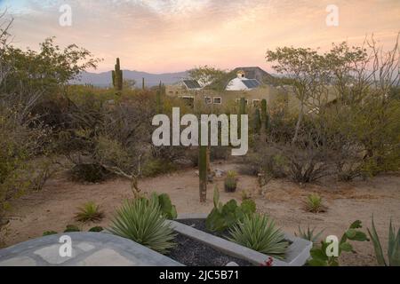 Messico, Baja California sur, El Sargento, Rancho sur, patio vista a Peter e Susan aschwanden casa *** Local Caption *** Messico, Baja California su Foto Stock