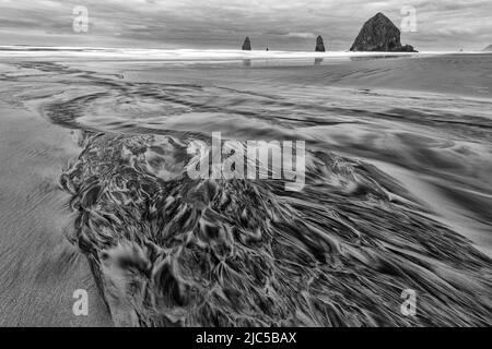 USA, Oregon, Clatsop County, West Coast, Oregon Coast, Cannon Beach, *** Local Caption *** USA, Oregon, Clatsop County, West Coast, Oregon Coast, CAN Foto Stock