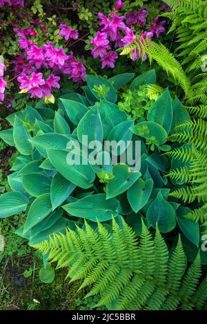 USA, Oregon, Clatsop County, West Coast, Oregon Coast, Cannon Beach, Garden *** Local Caption *** USA, Oregon, Clatsop County, West Coast, Oregon COA Foto Stock