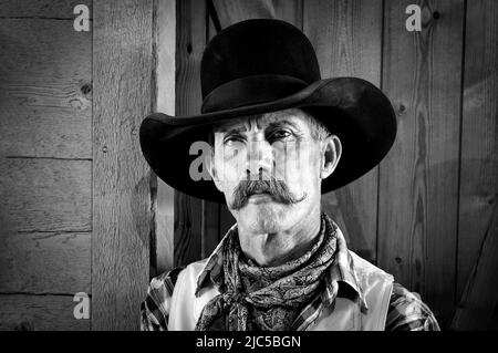 USA, Montagne Rocciose, Wyoming, Contea di Sublette, Pinedale, Flying A Ranch, Cowboy Ritratto MR *** Local Caption *** USA, Rocky Mountains, Wyoming, Sub Foto Stock