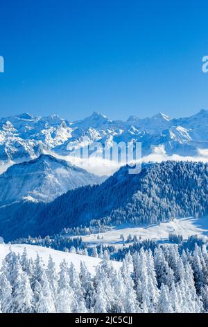 Aussicht von der Rigi, Schweiz *** Capzione locale *** le Alpi, vista, montagna, panorama montano, montagne, Panorama montano, montagne, Glarner th Foto Stock