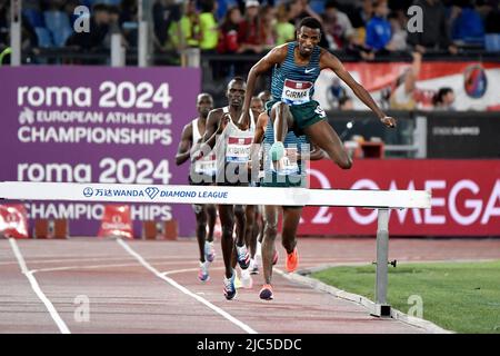 Lamecha Girma of Etiopia compete nei 3000m uomini steeplechase durante il meeting di Golden Gala della IAAF Diamond League presso lo stadio Olimpico di Roma (Italia) Foto Stock