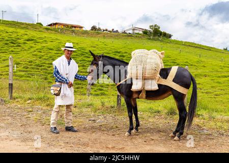 El Peñol, Antioquia - Colombia - 25 maggio 2022. Paisa muleteer, uomo conducente di muli, trasportatore di tipo di merci relative al campo Foto Stock