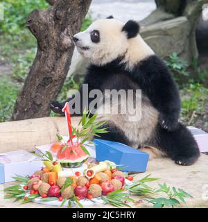 Chongqing. 10th giugno 2022. Un panda gigante suona durante una festa di compleanno allo Zoo di Chongqing nel comune di Chongqing, nella Cina sudoccidentale, il 10 giugno 2022. Lo Zoo di Chongqing ha tenuto una festa di compleanno per due panda giganti di un anno chiamati Xingxing, Chenchen e quattro panda giganti di tre anni Shuangshuang, Chongchong, Xixi, Qingqing rispettivamente. Credit: Tang Yi/Xinhua/Alamy Live News Foto Stock