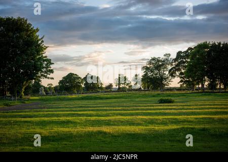 Strip lynchets risalente all'epoca medievale o prima sul bordo di Etton, East Riding of Yorkshire, UK Foto Stock