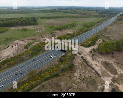 Ecodotto ecopassage o ponte di animali che attraversa l'autostrada A12 nei Paesi Bassi. Struttura che collega il paesaggio ecologico più forrest sopra la superstrada Foto Stock