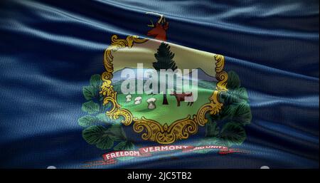 Immagine di sfondo della bandiera dello stato del Vermont, sfondo del simbolo degli Stati Uniti. Foto Stock