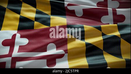 Illustrazione dello sfondo della bandiera dello stato del Maryland, sfondo del simbolo degli Stati Uniti. Foto Stock