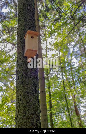 Birdhouse in legno appeso ad un albero in Polonia Foto Stock