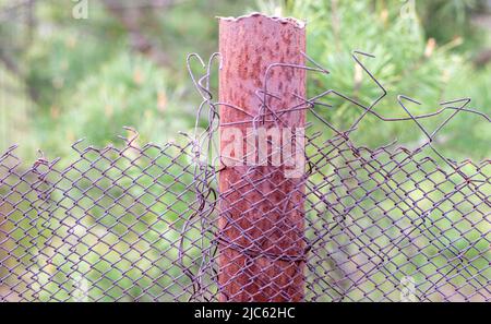 Mesh vecchia gabbia ragged nel giardino e un palo arrugginito con erba verde come sfondo. Recinzione metallica con rete metallica. Recinzione metallica in rete di ferro di acciaio. Foto Stock