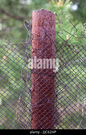 Mesh vecchia gabbia ragged nel giardino e un palo arrugginito con erba verde come sfondo. Recinzione metallica con rete metallica. Recinzione metallica in rete di ferro di acciaio. Foto Stock