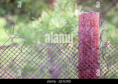 Mesh vecchia gabbia ragged nel giardino e un palo arrugginito con erba verde come sfondo. Recinzione metallica con rete metallica. Recinzione metallica in rete di ferro di acciaio. Foto Stock