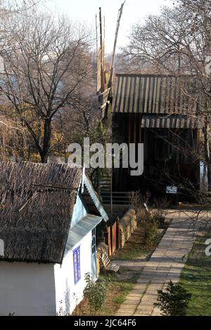 Il Museo del Villaggio, Bucarest, Romania. Mulino a vento 19th secolo e casa da Tulcea Country. Foto Stock