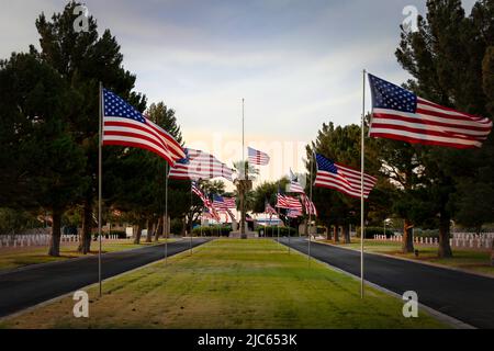 La notte prima del Memorial Day, con tutte le bandiere sul posto, in un cimitero nazionale del Texas occidentale. Foto Stock