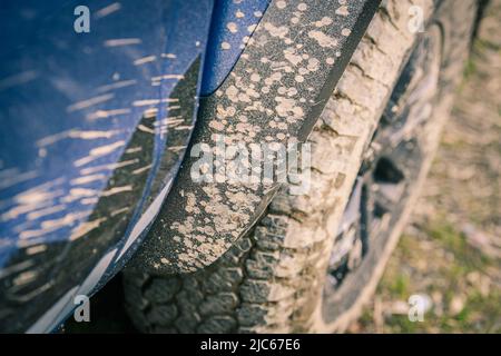 Primo piano di una ruota fangosa. Pneumatici grandi di un veicolo fuoristrada con fango. Spruzzi di fango sul lato del pick-up. Avventura, all'aperto, 4x4, estrema, tr Foto Stock