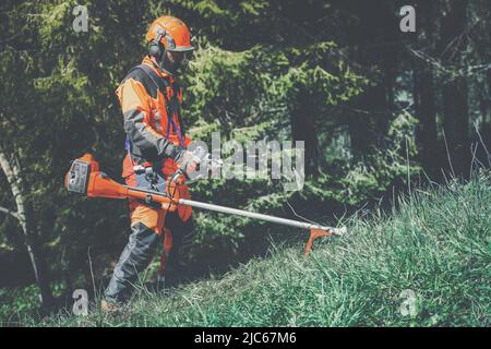 Uomo che tiene un decespugliatore tagliare erba e spazzola. Lumberjack sul lavoro indossa dispositivi di protezione personale arancioni. Giardiniere che lavora all'aperto nella foresta. Foto Stock