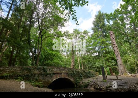 Newton Abbot, Regno Unito. 10th giugno 2022. Meteo Regno Unito: 10 Giu 2022. Parzialmente nuvoloso, Newton Abbot, Devon, UK Credit: Will Tudor/Alamy Live News Foto Stock