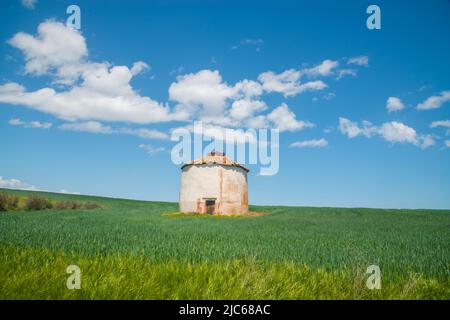 Colombaia tradizionale. Noviales, provincia Soria, Castilla Leon, Spagna. Foto Stock