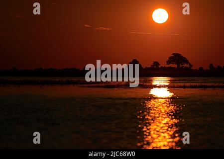 Tramonto sul fiume Chobe Botswana Africa Foto Stock