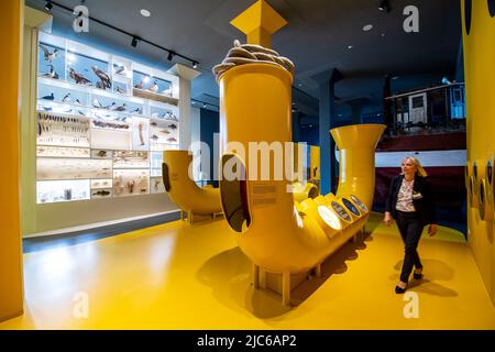 Wilhelmshaven, Germania. 10th giugno 2022. Un membro del personale passeggia per la mostra presso il centro visitatori del Wadden Sea World Heritage Centre, patrimonio mondiale dell'UNESCO. Il Wadden Sea Visitor Centre è il più grande centro di educazione e informazione per il Parco Nazionale del Mare di Wadden bassa Sassonia sulla costa. La ricostruzione della mostra permanente ha richiesto due anni ed è stata riaperta con una cerimonia. Credit: Sina Schuldt/dpa/Alamy Live News Foto Stock