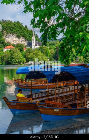 Tradizionale barca Pletna sul lago di Bled. Sullo sfondo si trova il famoso vecchio castello sulla scogliera. Bled, Slovenia Foto Stock