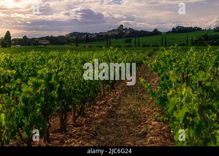 paesaggio e villaggio di chateauneuf de pape , con vigneti e campagna, provenza, vaucluse francia . Foto Stock