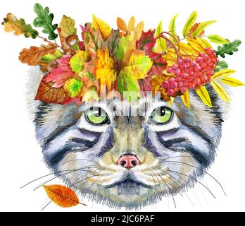 Disegno acquerello dell'animale - gatto manul in autunno corona, schizzo Foto Stock