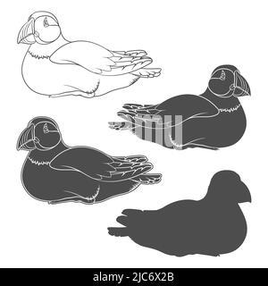 Set di illustrazioni in bianco e nero con uccello in puffin. Oggetti vettoriali isolati su sfondo bianco. Illustrazione Vettoriale