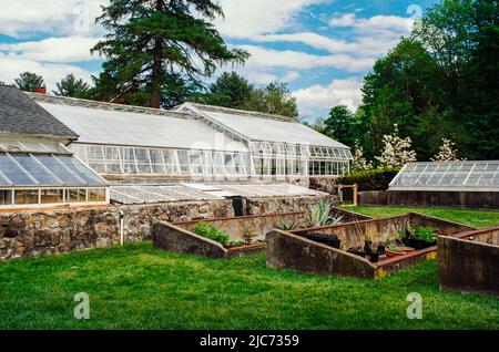 Un gruppo di serre a Stevens-Coolidge casa e giardino. L'immagine è stata acquisita su pellicola analogica. Nord Andover, Massachusetts Stati Uniti Foto Stock