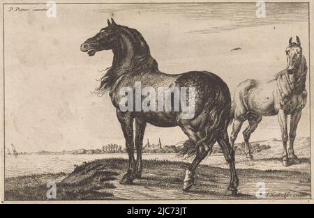 Un cavallo bianco e nero sulla riva di un grande corpo d'acqua. Una città in lontananza. Numerato in basso a destra: 1. Whinnying Horse Horses , Paulus Potter, (menzionato sull'oggetto), tipografia: anonimo, editore: F. Hendricksen, (Citato in oggetto), Paesi Bassi, 1652 - 1702, carta, incisione, a 143 mm x l 220 mm Foto Stock