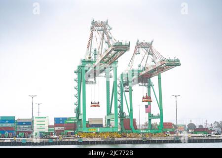 San Pedro, Stati Uniti. 10th giugno 2022. Evergreen Shipping al Porto di Los Angeles a San Pedro, California 10 giugno 2022. (Foto di Dominick Sokotoff/Sipa USA) Credit: Sipa USA/Alamy Live News Foto Stock