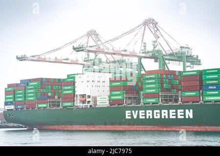 San Pedro, California, Stati Uniti. 10th giugno 2022. Evergreen Shipping al Porto di Los Angeles a San Pedro, California 10 giugno 2022. (Credit Image: © Dominick Sokotoff/ZUMA Press Wire) Credit: ZUMA Press, Inc./Alamy Live News Foto Stock