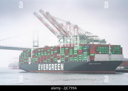 San Pedro, California, Stati Uniti. 10th giugno 2022. Evergreen Shipping al Porto di Los Angeles a San Pedro, California 10 giugno 2022. (Credit Image: © Dominick Sokotoff/ZUMA Press Wire) Credit: ZUMA Press, Inc./Alamy Live News Foto Stock