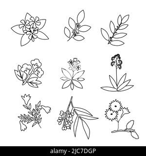 Set di piante vettoriali semplici isolate Illustrazione Vettoriale