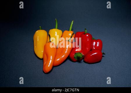 mini peperoni rossi, arancioni e gialli isolati sul grigio. Foto Stock