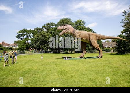 Jurassic Encounter fa il suo debutto nel Regno Unito al Grovelands Park di Southgate, Londra. Jurassic Encounter è un evento di famiglia, un'installazione interattiva di 50 dinosauri animatronici a grandezza naturale dei periodi giurassico, triassico e cretaceo. Ogni dinosauro ha movimenti robotici, braccia che si muovono su e giù, code che oscillano da un lato all'altro, teste che si muovono su e giù, occhi che lampeggiano, mascelle che si aprono con effetti sonori realistici ruggenti. Caratterizzato: Atmosfera dove: Londra, Regno Unito quando: 23 lug 2021 credito: Phil Lewis/WENN Foto Stock