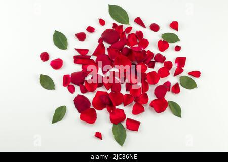 Un mucchio di petali di rosa e foglie su uno sfondo luminoso. Vista dall'alto. Foto Stock