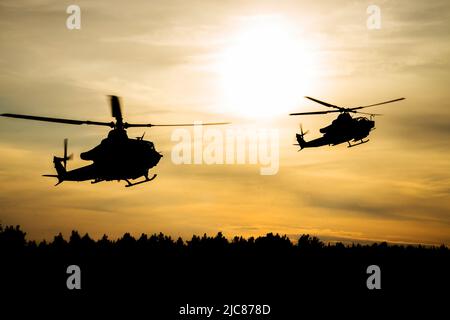 Saaremaa, Estonia. 22nd maggio 2022. Un velivolo UH-1Y Venom (a sinistra) e AH-1Z Viper entrano per un atterraggio vicino a Saaremaa, Estonia, 22 maggio 2022. Task Group 61/2,4 fornisce ai comandanti navali e delle forze congiunte capacità di ricognizione e ricognizione multidominio (RXR) dedicate. Task Group 61/2,4, nell'ambito della Task Force 61/2, sta attuando il Comandante del concetto di forze di stand-in (SIF) del corpo Marino per generare piccole unità altamente versatili che integrano corpi marini e forze della Marina. Task Force 61/2 è schierata nell'area delle operazioni U.S. Naval Forces Europe, impiegata da Foto Stock