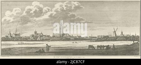 Vista di Middelburg, vista dal sud-est. A sinistra del centro si trova il Lange Jan (Abbey Tower). Il secondo edificio a sinistra è il municipio. A destra, a destra del mulino, l'Oostkerk. Situata intorno al 1744, vista di Middelburg, vista dal sud-est, 1744 la città di Middelburg, vista dal sud, tipografo: Jan Caspar Philips, (menzionato sull'oggetto), disegnatore intermediario: Cornelis Schouman, (menzionato sull'oggetto), editore: Isaak Tirion, (menzionato sull'oggetto), Amsterdam, 1751 - 1760, carta, incisione, incisione, h 173 mm x l 411 mm Foto Stock