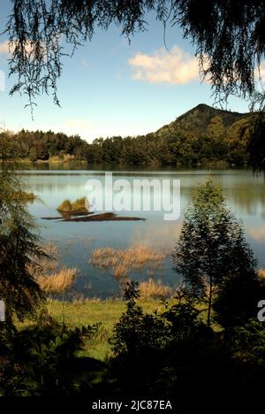 Lago Telaga Warna, un lago solforico sull'altopiano di Dieng, che si trova amministrativamente in Dieng Wetan, Kejajar, Wonosobo, Giava Centrale, Indonesia. Foto Stock