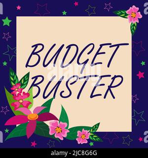 Cartello con la scritta Budget Buster. Concetto che significa Carefree spendendo le occasioni inutili acquisti overspending cornice bianca decorata con Abstract Foto Stock