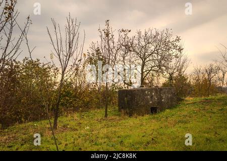 Vista del restante bunker tedesco in cemento sul prato in autunno. Foto Stock