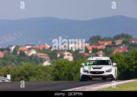 Budapest, Ungheria. 11th giugno 2022. 99 NAGY Daniel (HUN), Zengő Motorsport, CUPRA Leon competición, azione durante il WTCR - gara d'Ungheria 2022, 3rd round della FIA World Touring Car Cup 2022, sull'Hungaroring dal 10 al 12 giugno a Budapest, Ungheria - Foto Clement Luck / DPPI Credit: DPPI Media/Alamy Live News Foto Stock